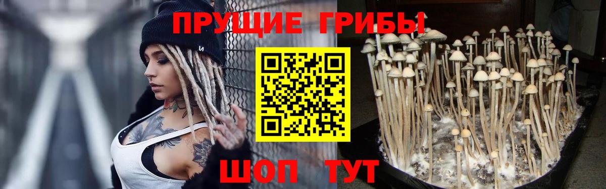 Псилоцибиновые грибы мухоморы  Вход с VPN  Дятьково 